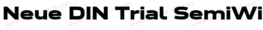 Neue DIN Trial SemiWide字体转换